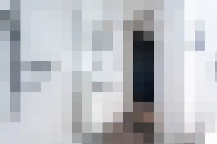 Dwergstern 20 Etten-Leur thumbnail 23