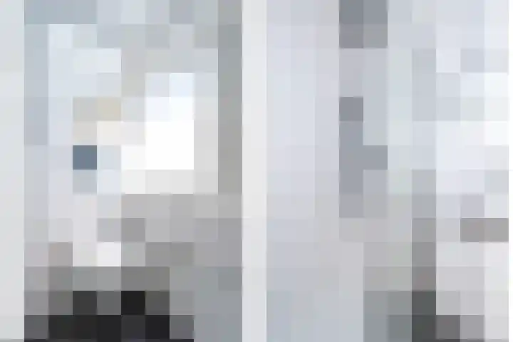 Dwergstern 20 Etten-Leur thumbnail 24