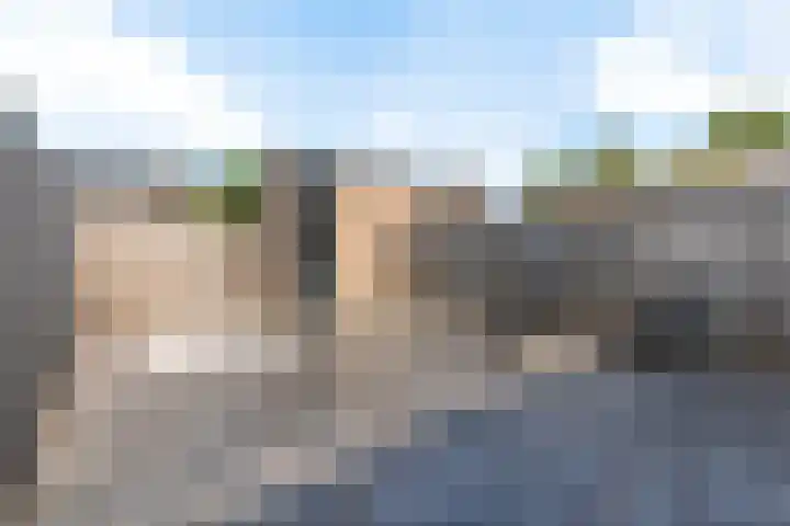 Dwergstern 20 Etten-Leur thumbnail 25