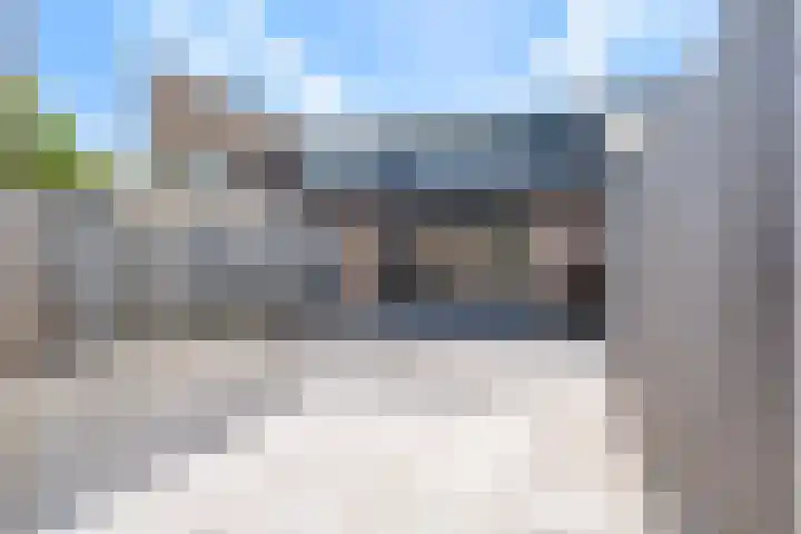 Dwergstern 20 Etten-Leur thumbnail 26