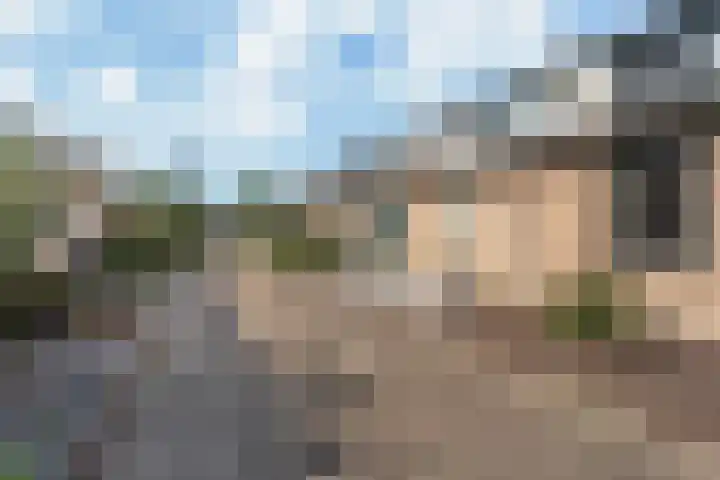 Dwergstern 20 Etten-Leur thumbnail 27