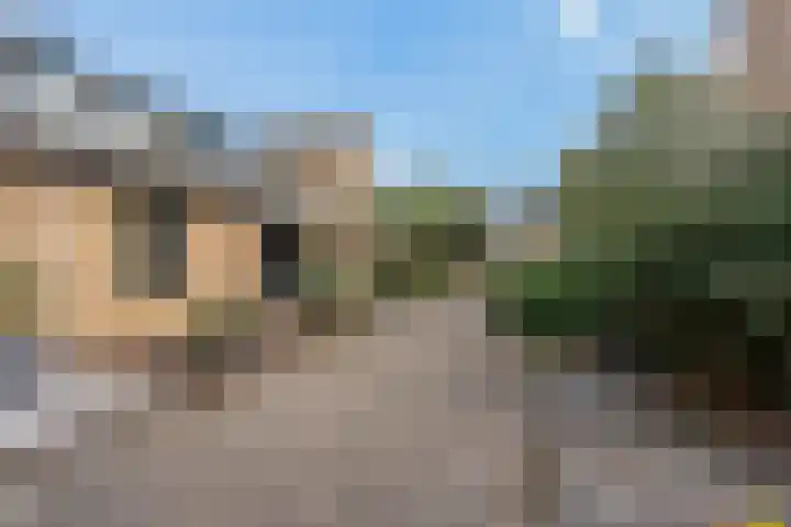 Dwergstern 20 Etten-Leur thumbnail 28