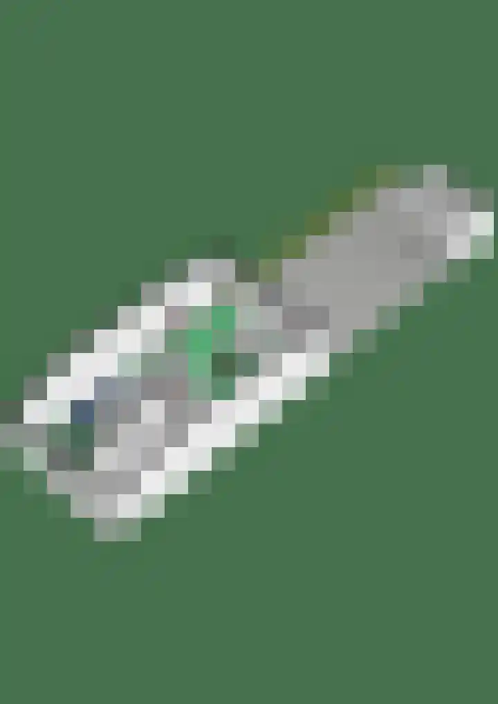 Dwergstern 20 Etten-Leur thumbnail 31