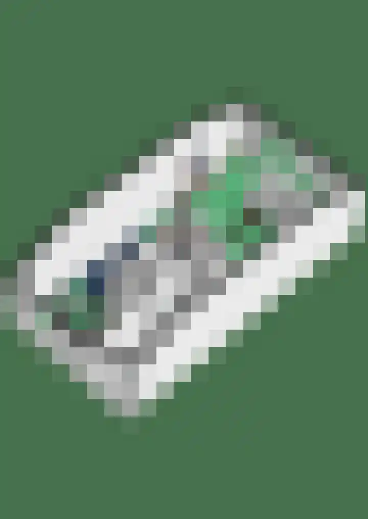 Dwergstern 20 Etten-Leur thumbnail 33