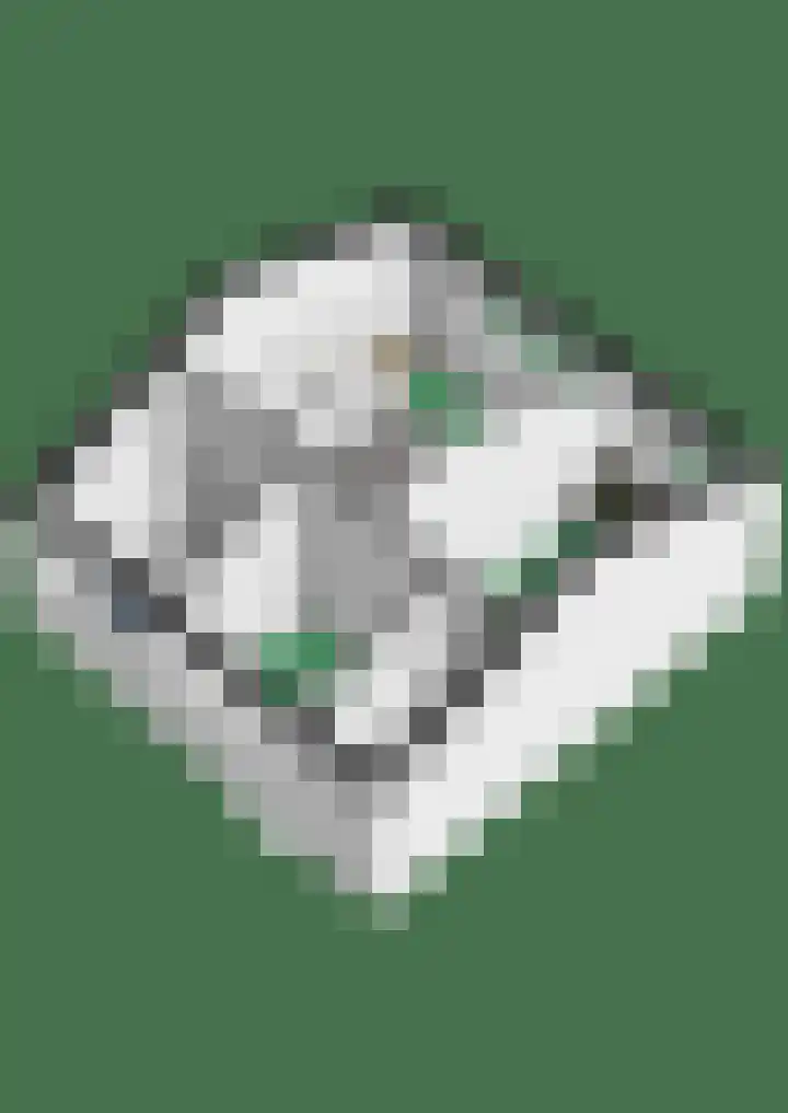 Dwergstern 20 Etten-Leur thumbnail 35