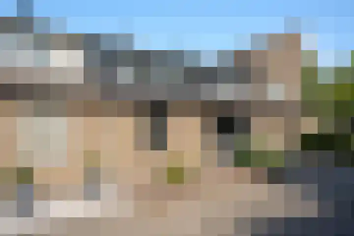 Dwergstern 20 Etten-Leur thumbnail 4