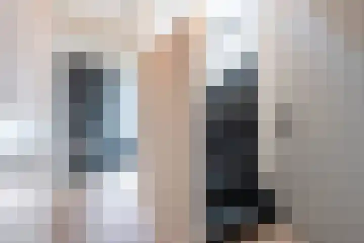 Dwergstern 20 Etten-Leur thumbnail 7