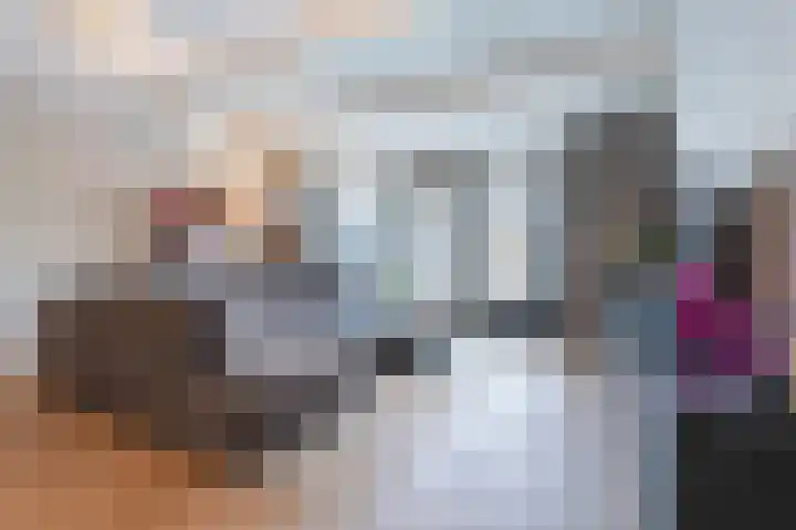 Dwergstern 20 Etten-Leur thumbnail 8