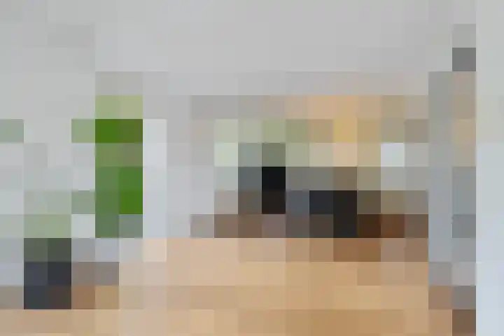 Dwergstern 3 Emmen thumbnail 11