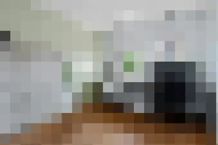 Dwergstern 3 Emmen thumbnail 12