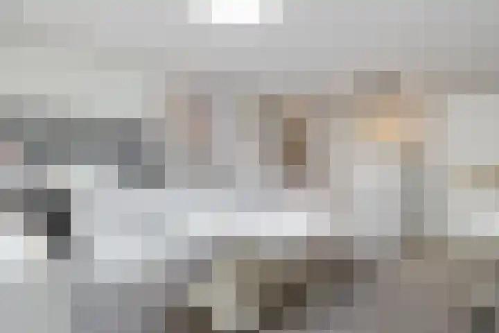 Dwergstern 3 Emmen thumbnail 20