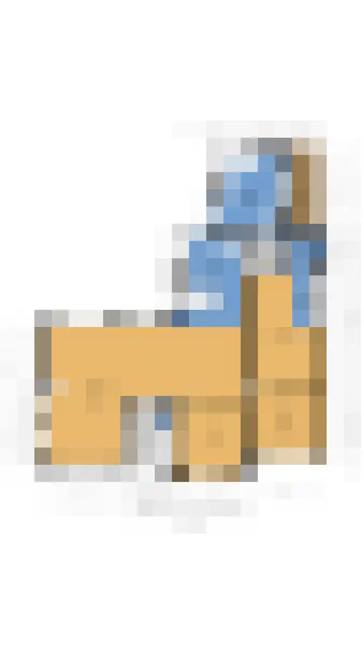 Dwergstern 3 Emmen thumbnail 43
