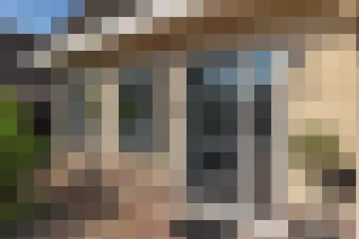 Dwergstern 3 Emmen thumbnail 6