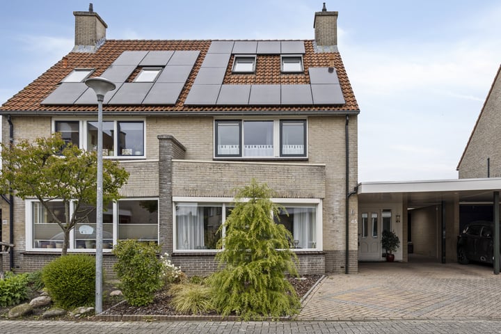 Dwergstern 45 dans Emmen photo