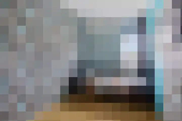 Dwergstern 45 Emmen thumbnail 34