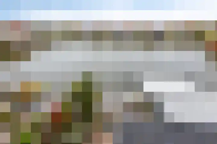 Dwergstern 45 Emmen thumbnail 4