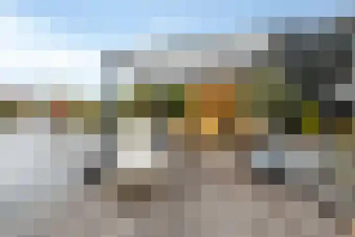 Dwergstern 45 Emmen thumbnail 47