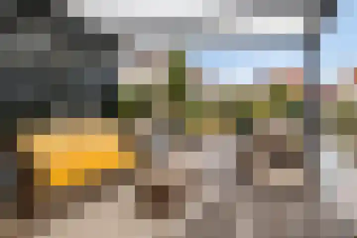 Dwergstern 45 Emmen thumbnail 48