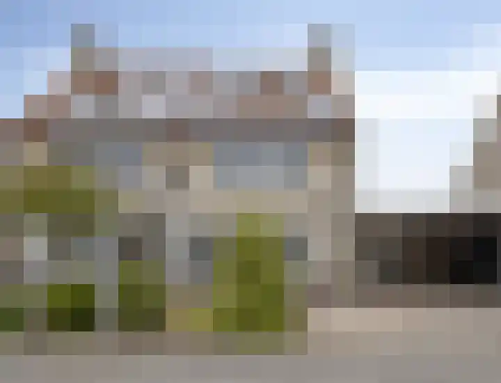 Dwergstern 45 Emmen thumbnail 55