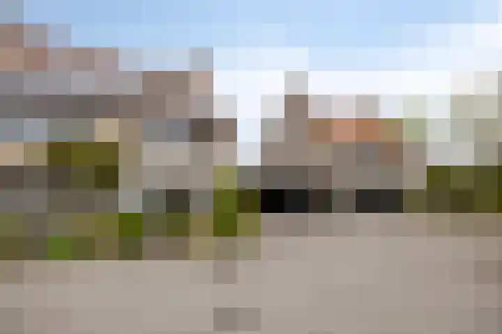 Dwergstern 45 Emmen thumbnail 7