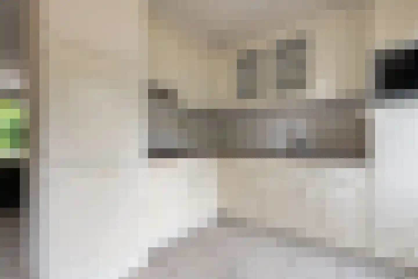 Dwerguil 10 Emmen thumbnail 10