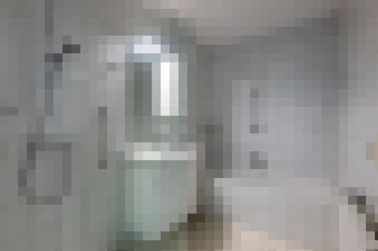 Dwerguil 10 Emmen thumbnail 14