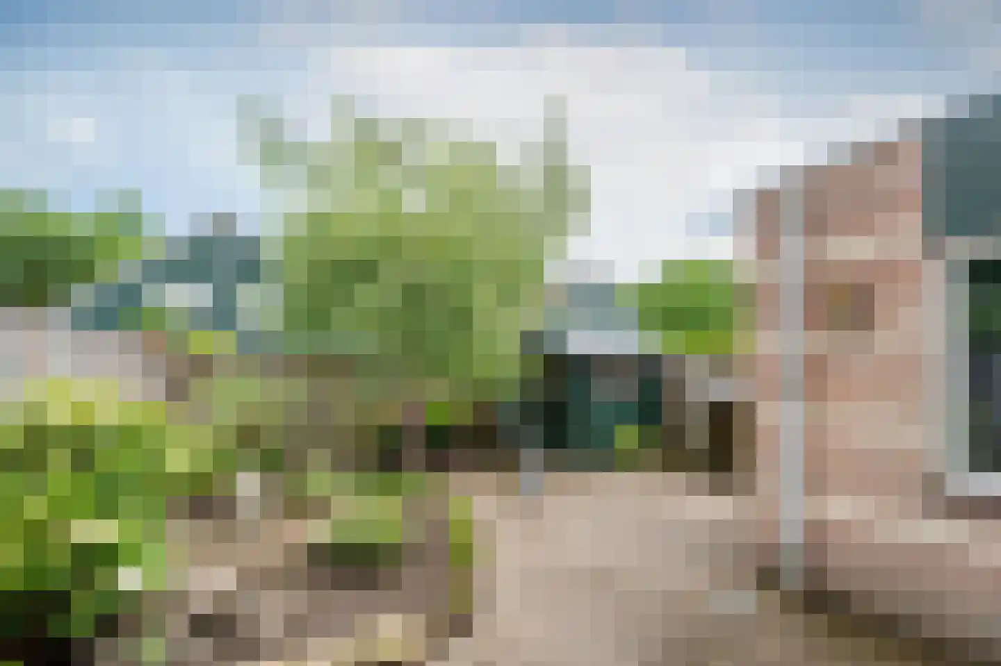 Dwerguil 10 Emmen thumbnail 23