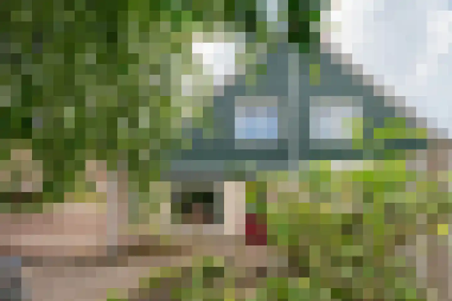 Dwerguil 10 Emmen thumbnail 24