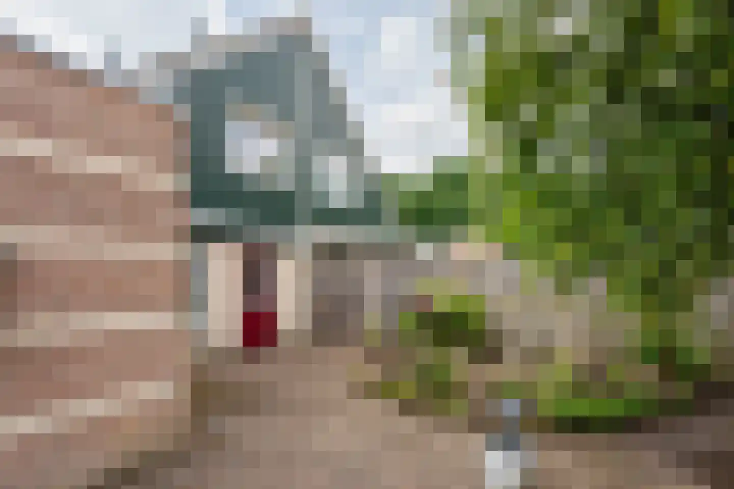 Dwerguil 10 Emmen thumbnail 25