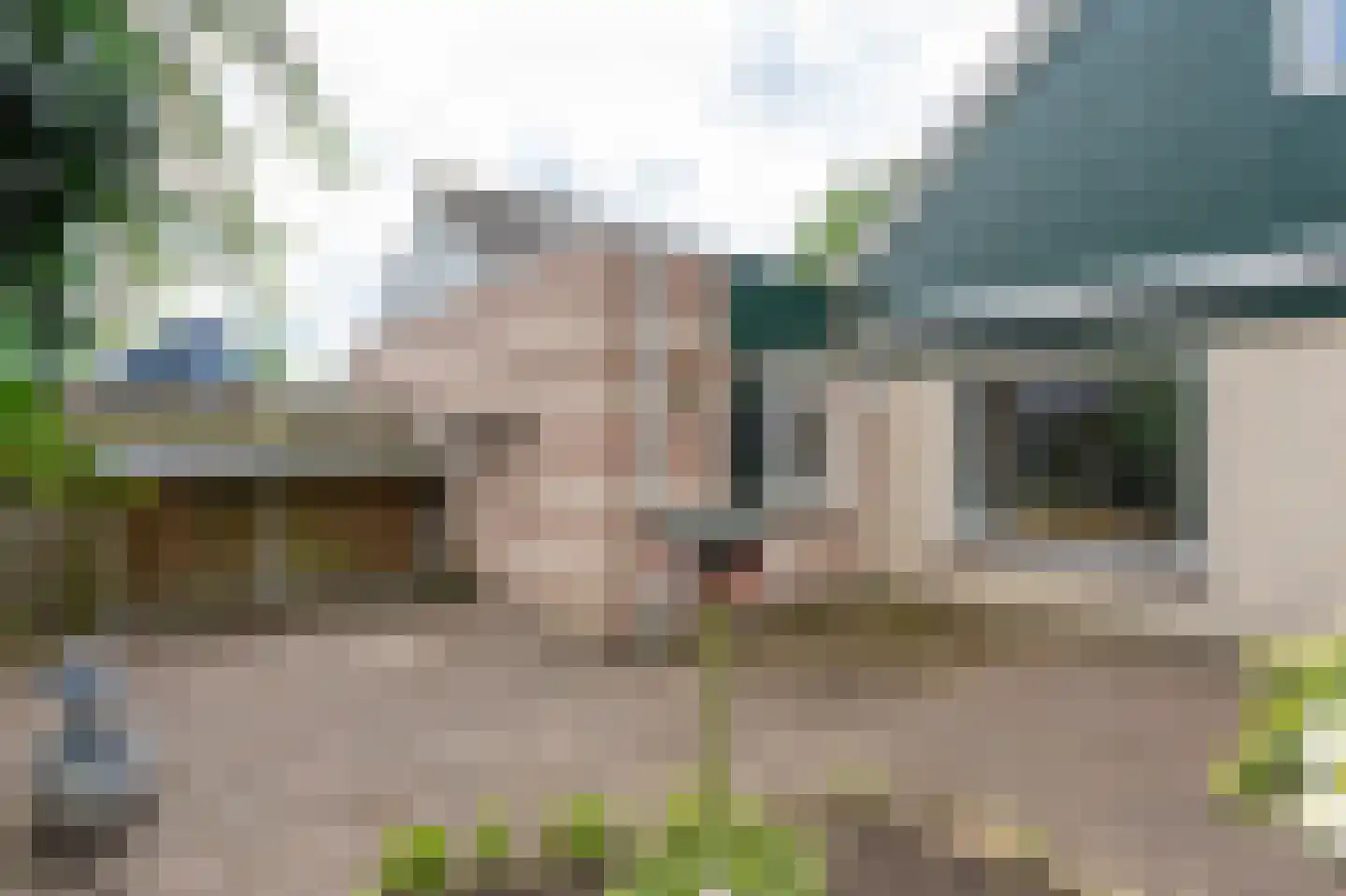 Dwerguil 10 Emmen thumbnail 26