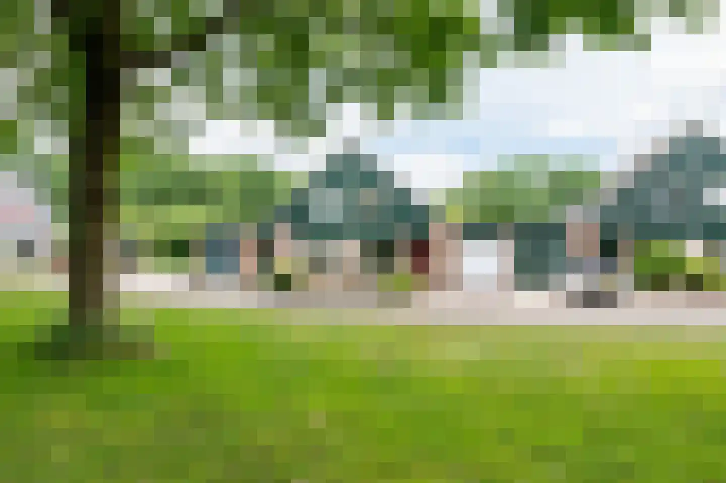 Dwerguil 10 Emmen thumbnail 28
