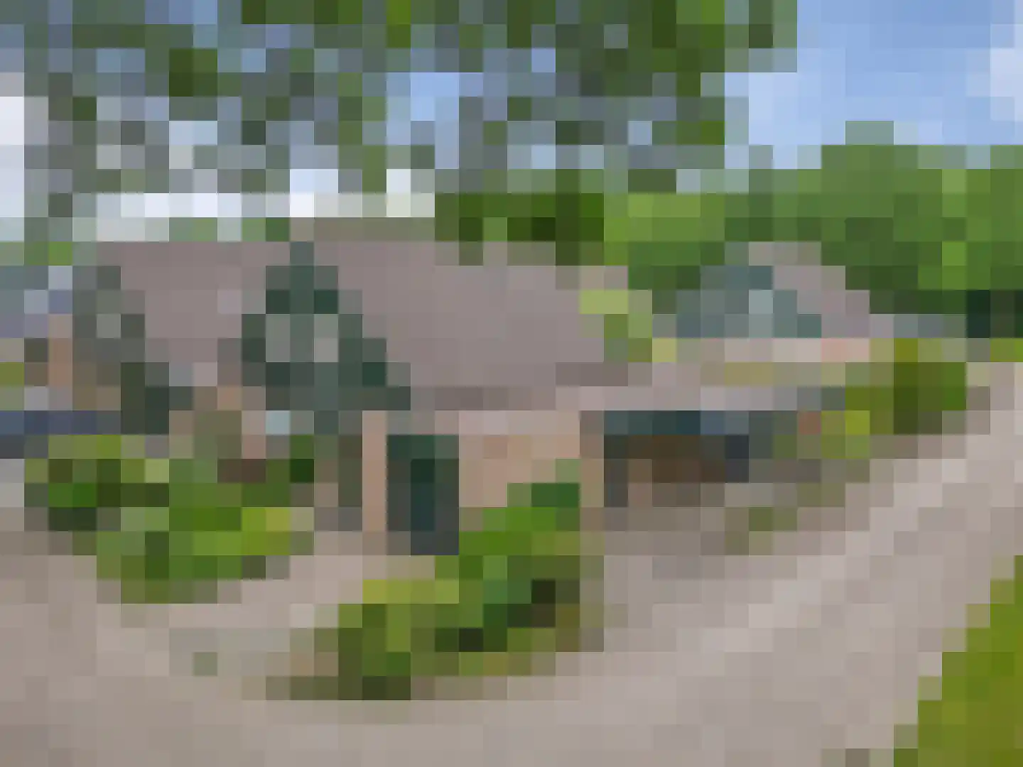 Dwerguil 4 Emmen