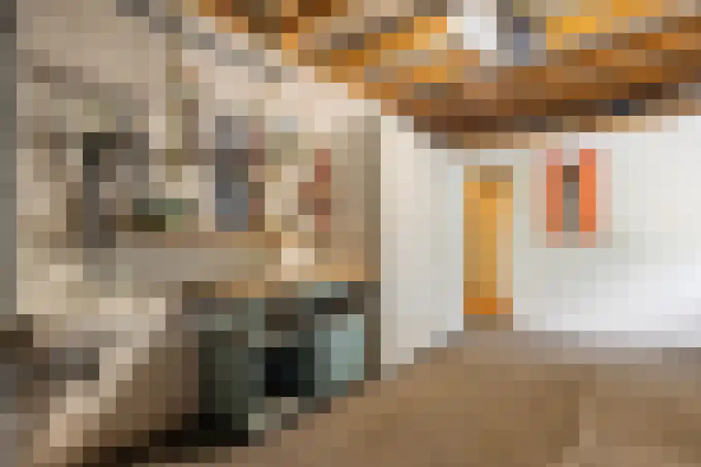 Dwerguil 4 Emmen thumbnail 21