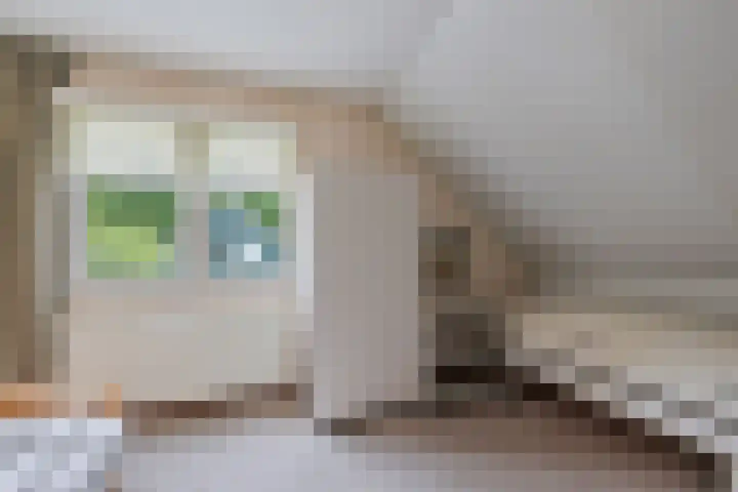 Dwerguil 4 Emmen thumbnail 24