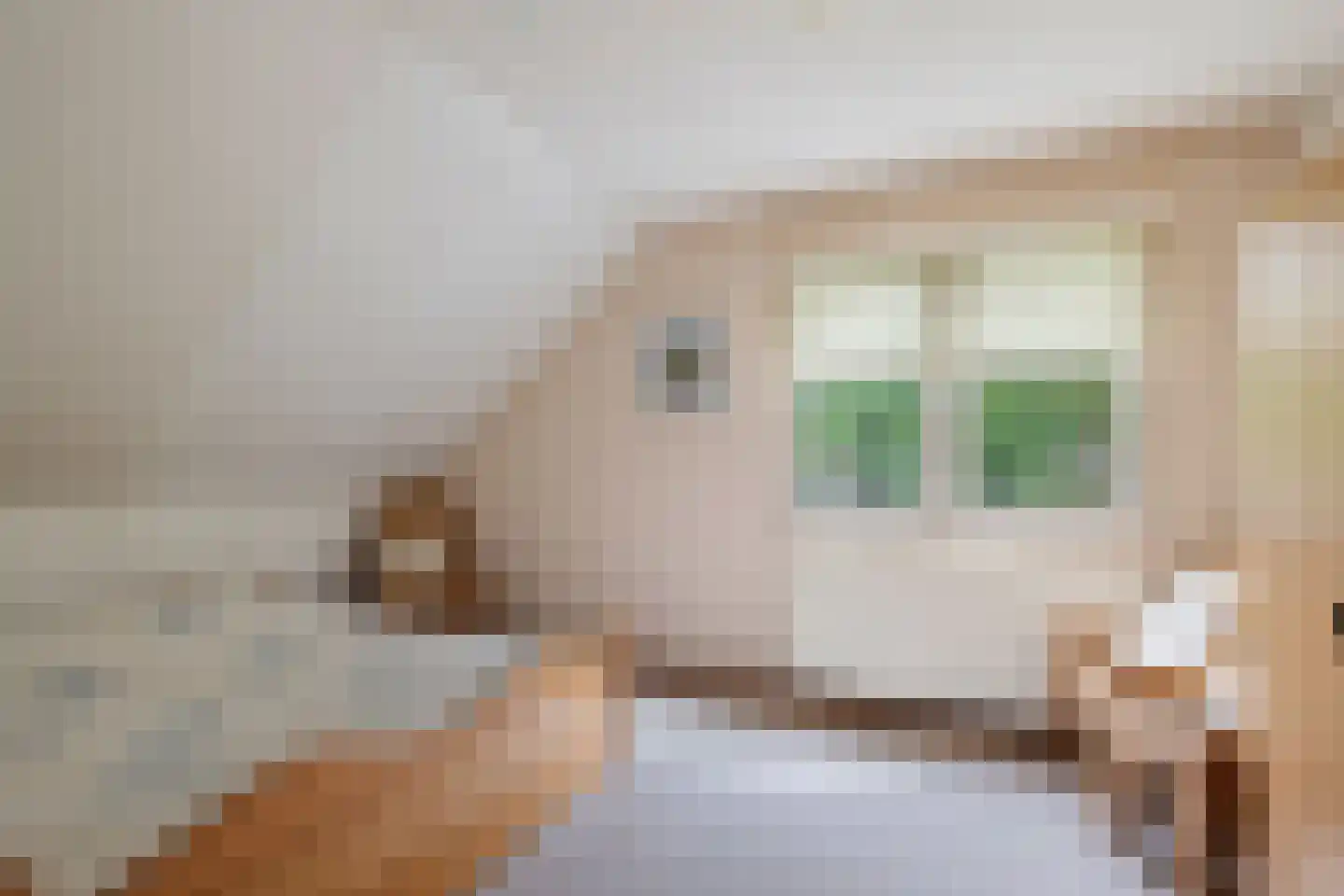 Dwerguil 4 Emmen thumbnail 25