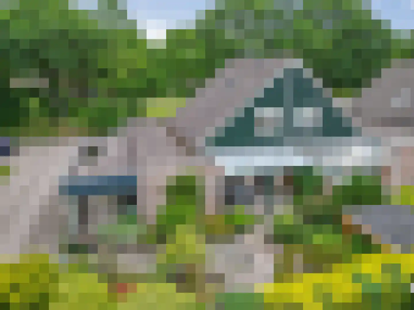 Dwerguil 4 Emmen thumbnail 30