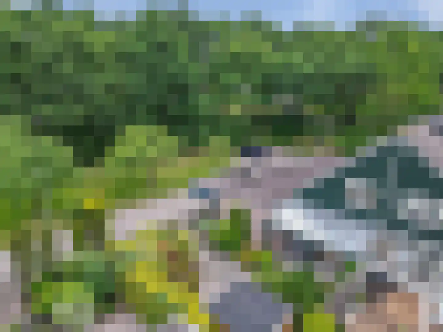 Dwerguil 4 Emmen thumbnail 31