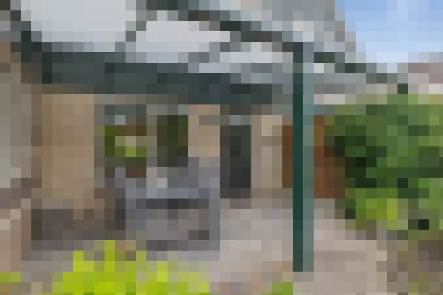 Dwerguil 4 Emmen thumbnail 33