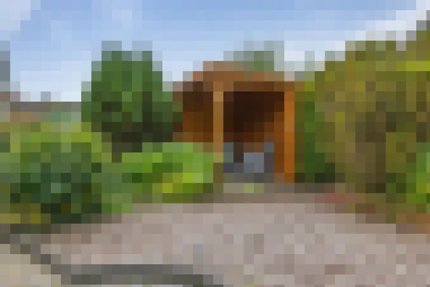Dwerguil 4 Emmen thumbnail 35