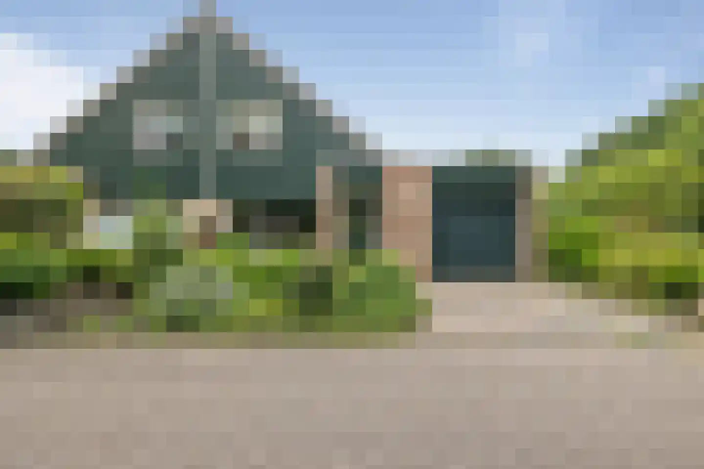 Dwerguil 4 Emmen thumbnail 39
