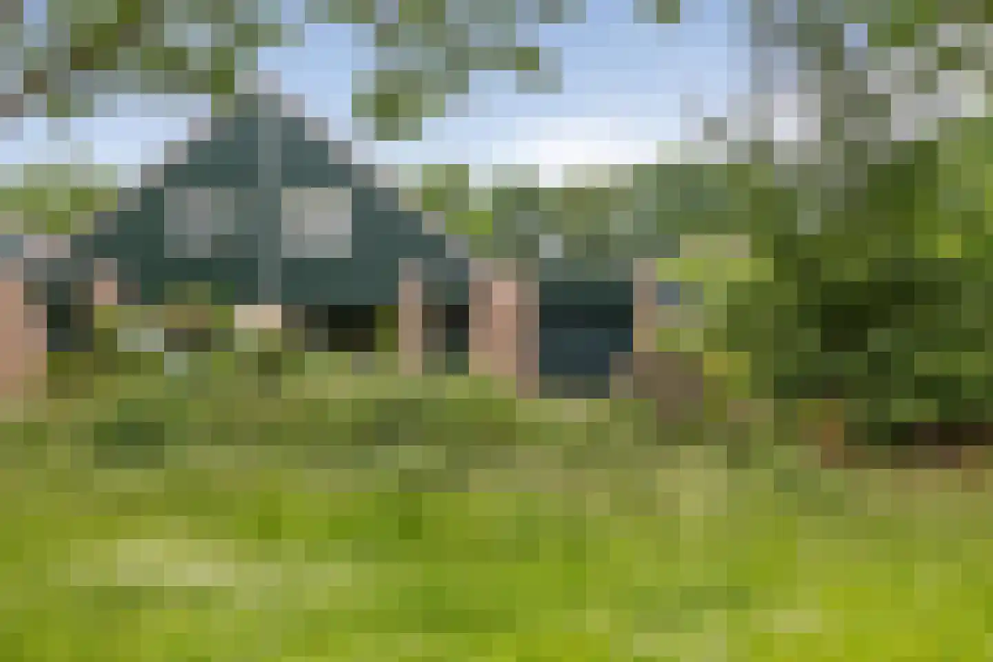 Dwerguil 4 Emmen thumbnail 41