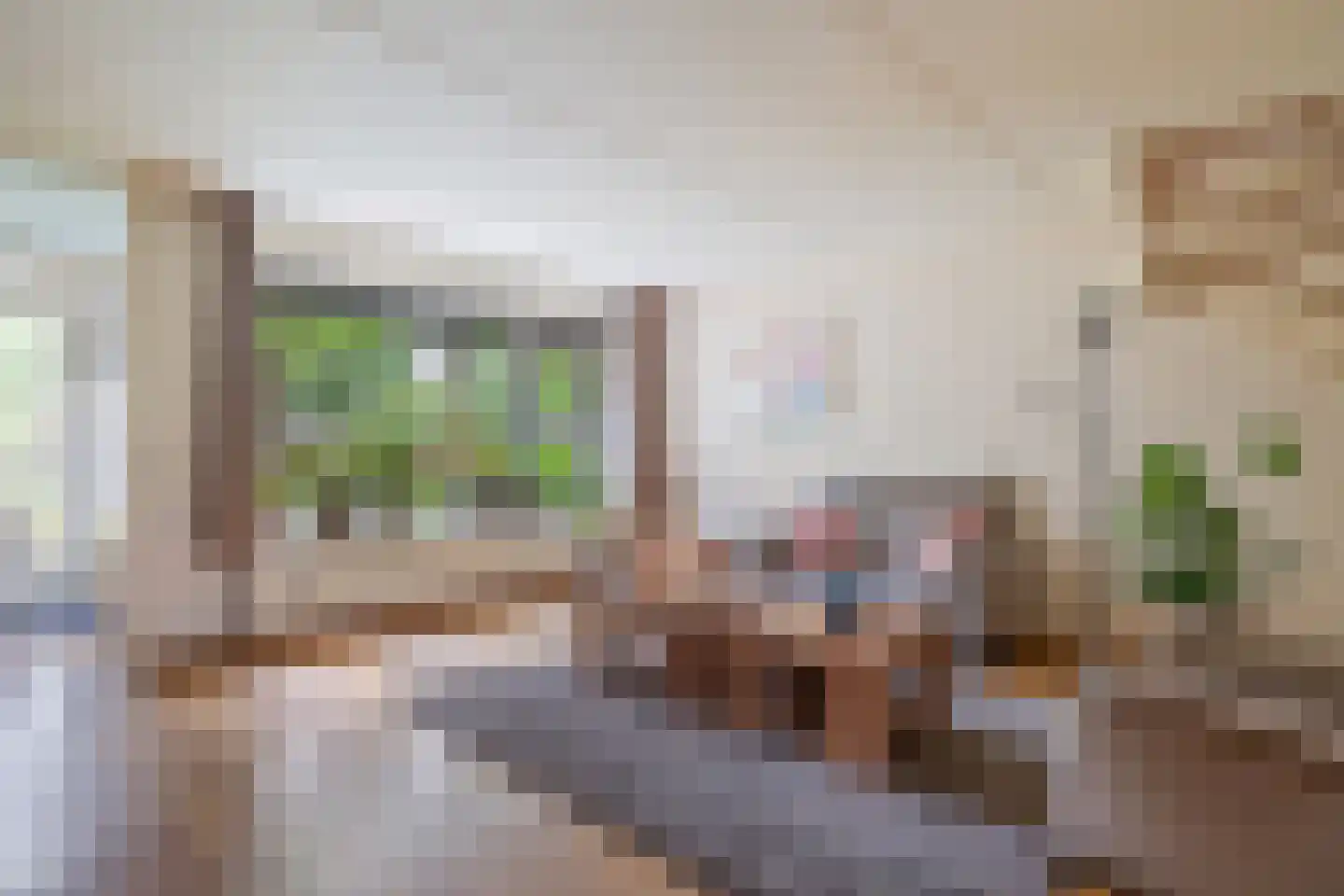 Dwerguil 4 Emmen thumbnail 8