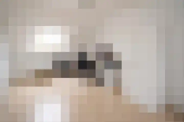 Dwerguilstraat 2 Alkmaar thumbnail 38