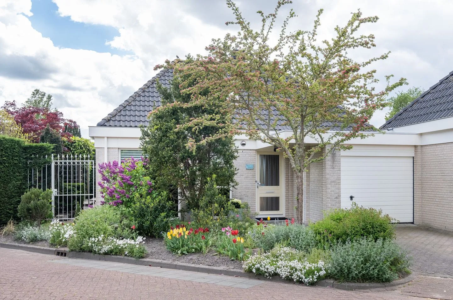 Dwergvinvis 28 Heerhugowaard