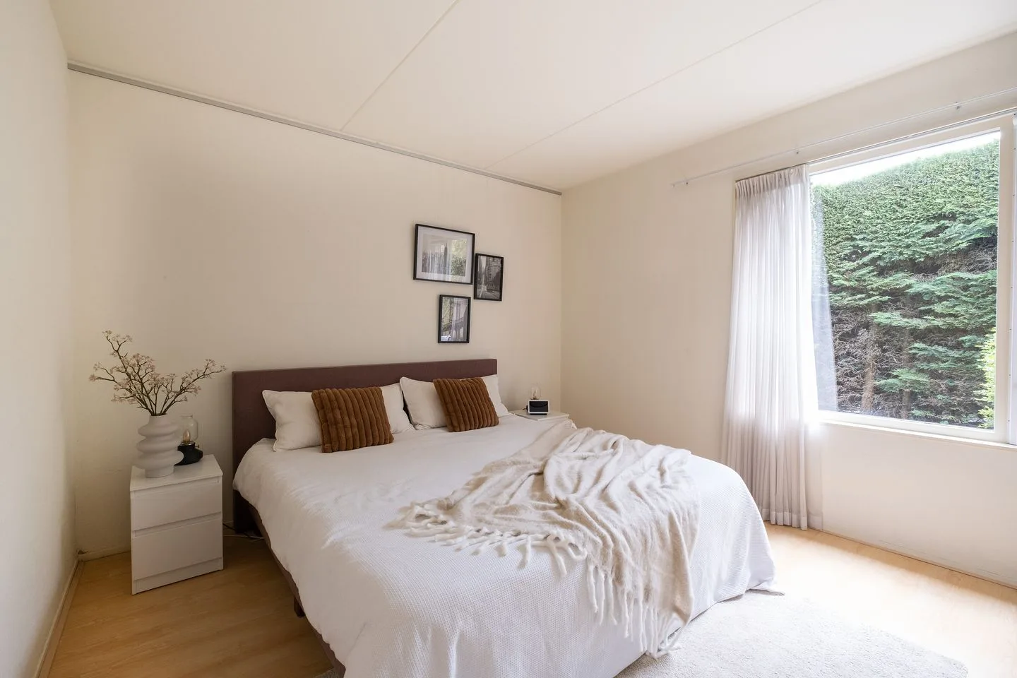Dwergvinvis 28 Heerhugowaard thumbnail 11
