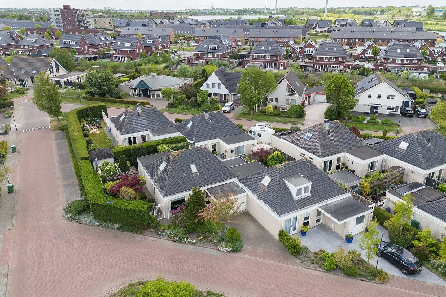 Dwergvinvis 28 Heerhugowaard foto 2