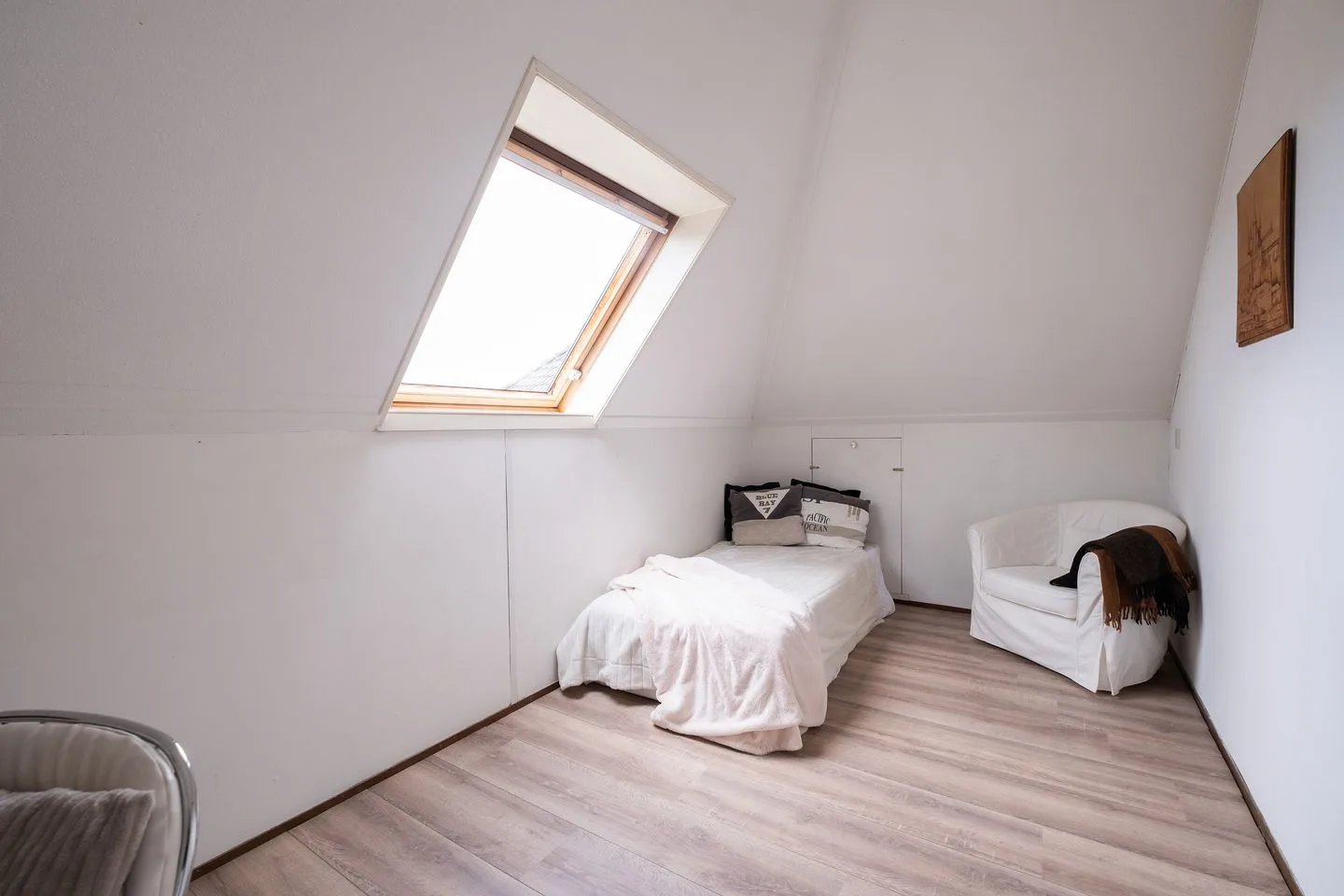 Dwergvinvis 28 Heerhugowaard thumbnail 20