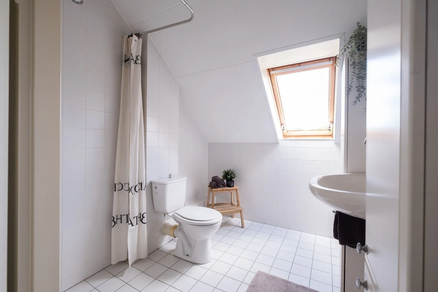 Dwergvinvis 28 Heerhugowaard thumbnail 21