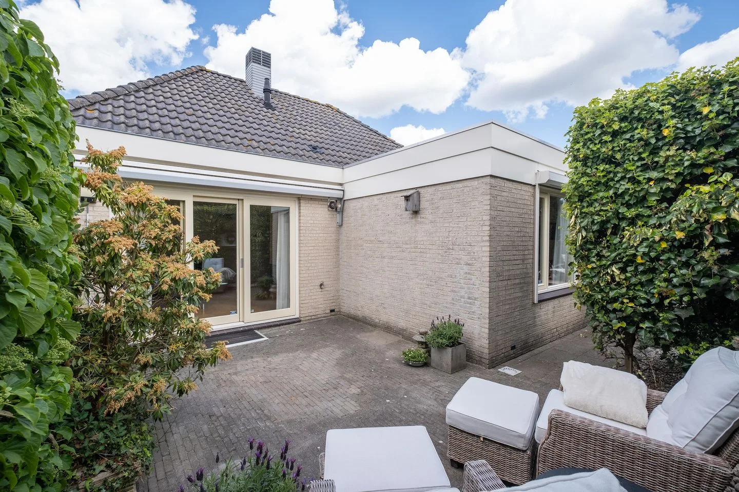Dwergvinvis 28 Heerhugowaard thumbnail 23