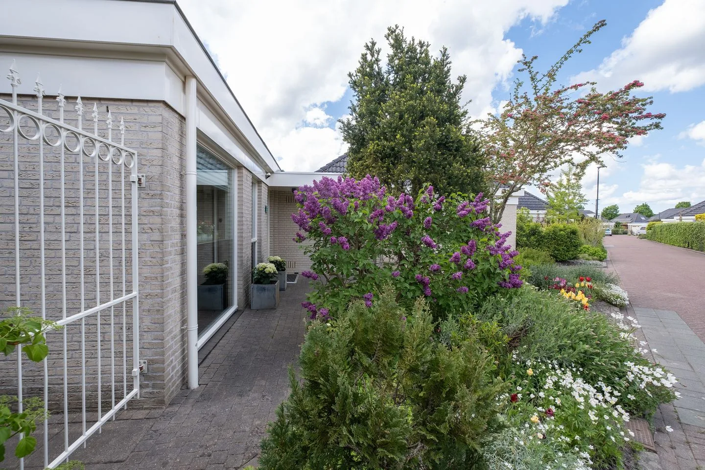 Dwergvinvis 28 Heerhugowaard thumbnail 26